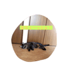 まさおの仲間（個別スタンプ：3）