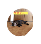 まさおの仲間（個別スタンプ：4）