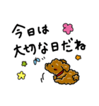 トイプードルのお祝いスタンプ（個別スタンプ：2）