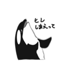 煽りシャチくん（個別スタンプ：2）