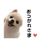西村家のくぅちゃん♡（個別スタンプ：1）