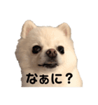 西村家のくぅちゃん♡（個別スタンプ：4）