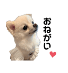 西村家のくぅちゃん♡（個別スタンプ：13）