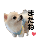 西村家のくぅちゃん♡（個別スタンプ：14）