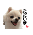 西村家のくぅちゃん♡（個別スタンプ：16）