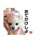 西村家のくぅちゃん♡（個別スタンプ：26）
