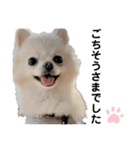 西村家のくぅちゃん♡（個別スタンプ：38）