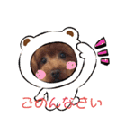 mokamame（個別スタンプ：2）