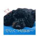 mokamame（個別スタンプ：5）