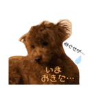 mokamame（個別スタンプ：7）