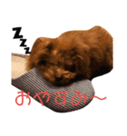 mokamame（個別スタンプ：8）