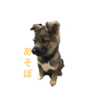 アラン君げんき（個別スタンプ：2）