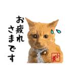 小麦のご挨拶（日常編）（個別スタンプ：2）