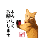 小麦のご挨拶（日常編）（個別スタンプ：5）