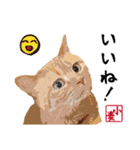 小麦のご挨拶（日常編）（個別スタンプ：7）
