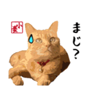 小麦のご挨拶（日常編）（個別スタンプ：10）