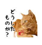 小麦のご挨拶（日常編）（個別スタンプ：12）