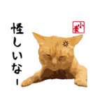 小麦のご挨拶（日常編）（個別スタンプ：17）