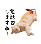 小麦のご挨拶（日常編）（個別スタンプ：21）
