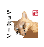 小麦のご挨拶（日常編）（個別スタンプ：31）