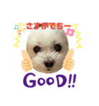 ふぅとかのんでちー（個別スタンプ：4）