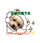 ふぅとかのんでちー（個別スタンプ：5）
