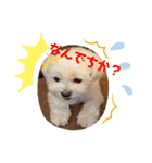 ふぅとかのんでちー（個別スタンプ：7）