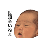 ねむたんねむねむ①（個別スタンプ：1）