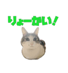 うちのもっちゃんはかわええ♡（個別スタンプ：3）