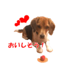 きゃろたんのスタンプ（個別スタンプ：3）