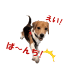 きゃろたんのスタンプ（個別スタンプ：8）