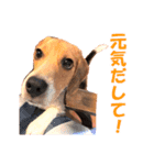 きゃろたんのスタンプ（個別スタンプ：10）