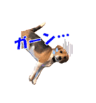 きゃろたんのスタンプ（個別スタンプ：12）