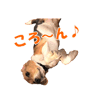 きゃろたんのスタンプ（個別スタンプ：18）