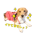 きゃろたんのスタンプ（個別スタンプ：20）