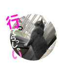 むたんぷ ③（個別スタンプ：4）