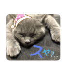 むたんぷ ③（個別スタンプ：8）