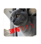 むたんぷ ③（個別スタンプ：13）