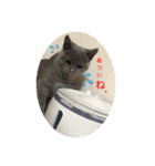 むたんぷ ③（個別スタンプ：14）