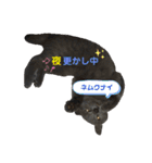 むたんぷ ③（個別スタンプ：15）