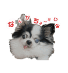 わんこのつぶやき☝（個別スタンプ：6）