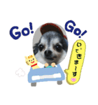 わんこのつぶやき☝（個別スタンプ：7）