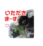 わんこのつぶやき☝（個別スタンプ：8）