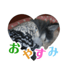 わんこのつぶやき☝（個別スタンプ：9）