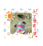 わんこのつぶやき☝（個別スタンプ：11）