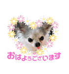 わんこのつぶやき☝（個別スタンプ：16）