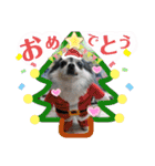 わんこのつぶやき☝（個別スタンプ：31）