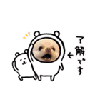 ポメラニアンのぽこ丸（個別スタンプ：32）