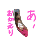 私の家族は宝物（個別スタンプ：8）