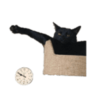 あんじぇろ＆るな3（個別スタンプ：4）